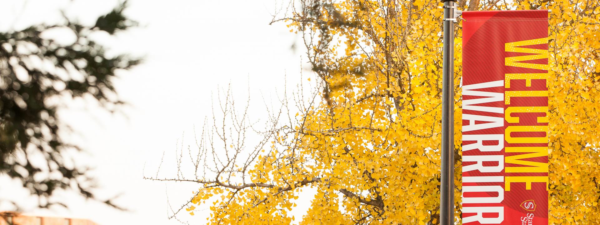 Campus at fall