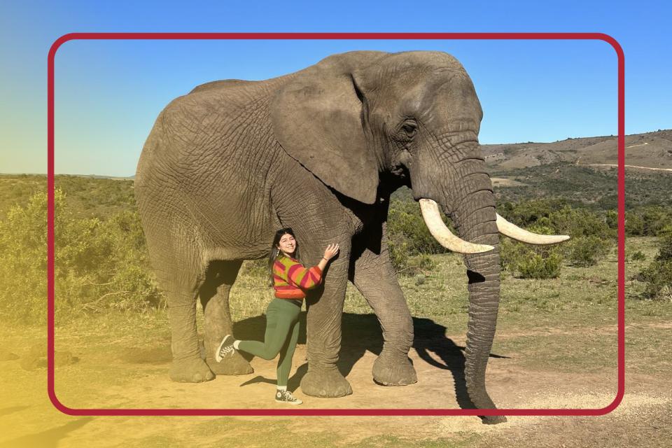 A female student standing next to a large elephant.