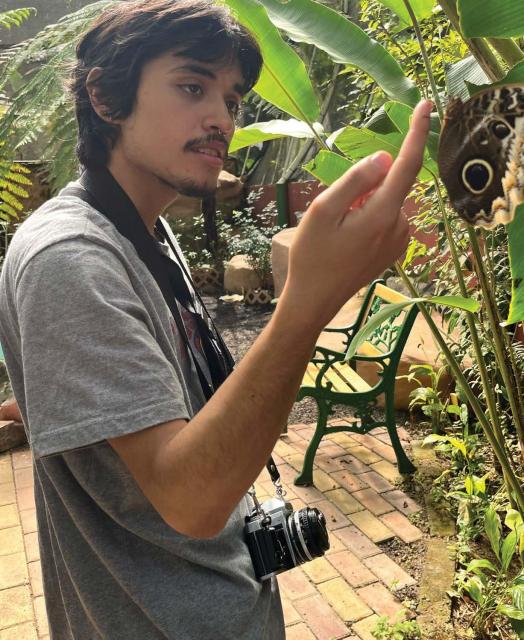 Man looking at plant